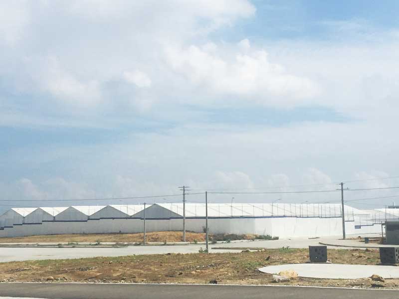 請(qǐng)問(wèn)樹脂瓦多少錢一平方