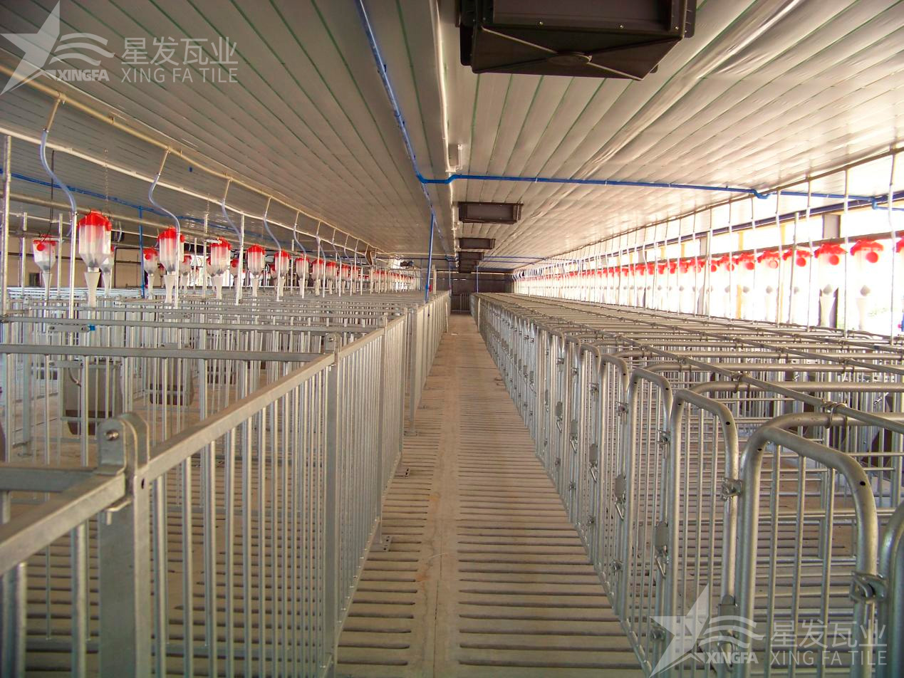 炎炎夏日即將來臨，為什么養(yǎng)殖場越來越多地選擇PVC瓦？