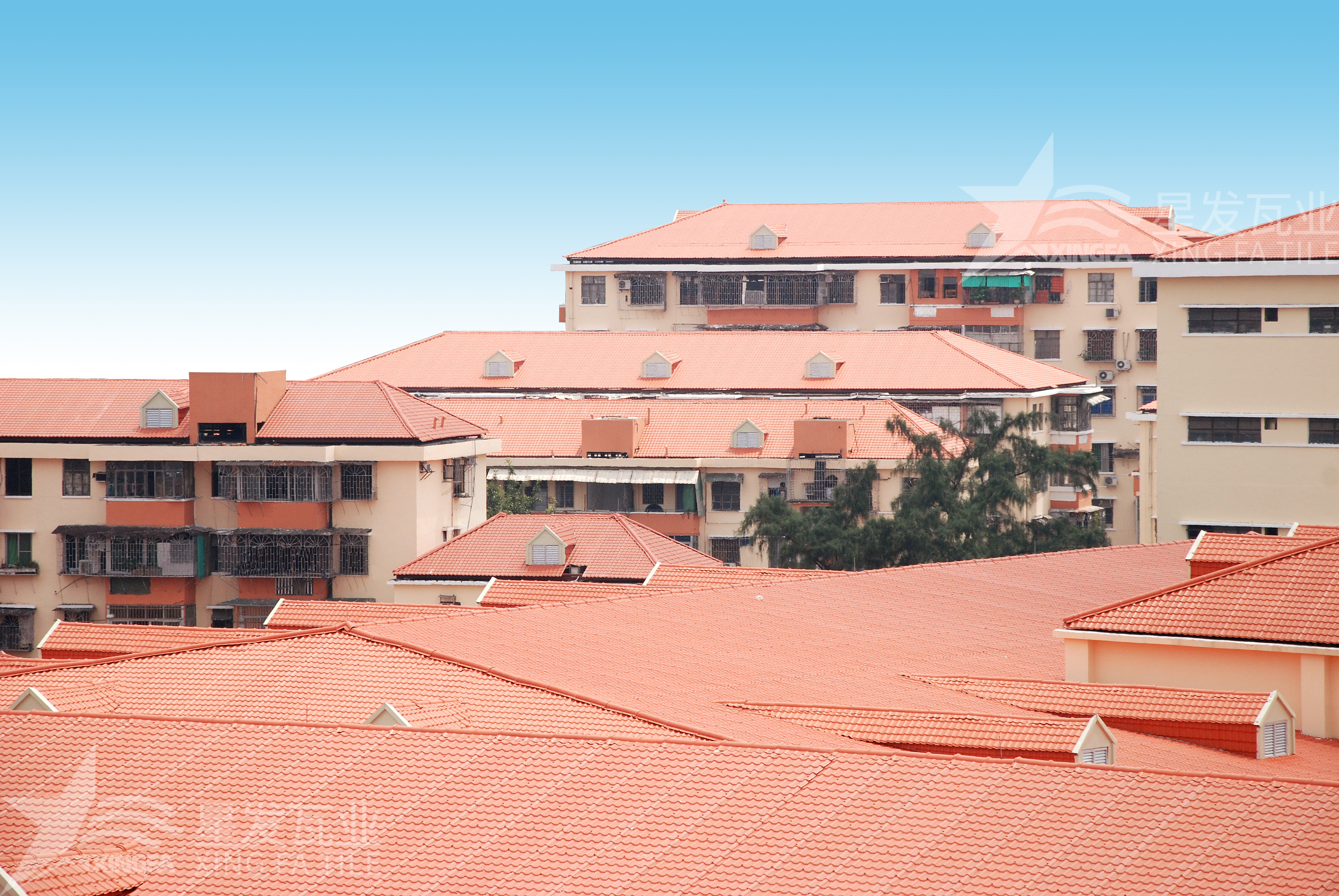 揭秘！居然還有人不知道合成樹脂瓦多少錢一方